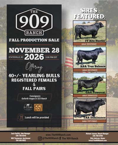 sale ad